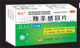 羚羊感冒片 河北冀衡集团药业传统中成药全解析